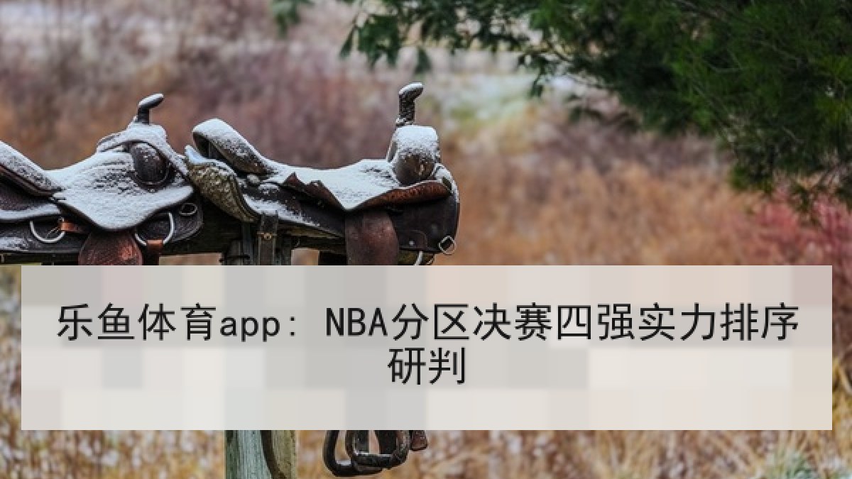 乐鱼体育app: NBA分区决赛四强实力排序研判